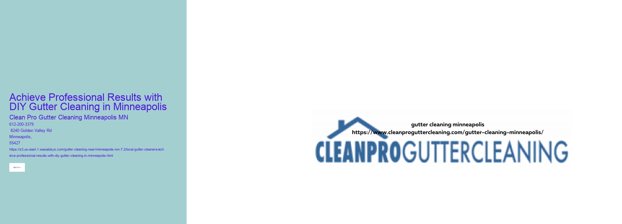 Achieve Professional Results with DIY Gutter Cleaning in Minneapolis 
