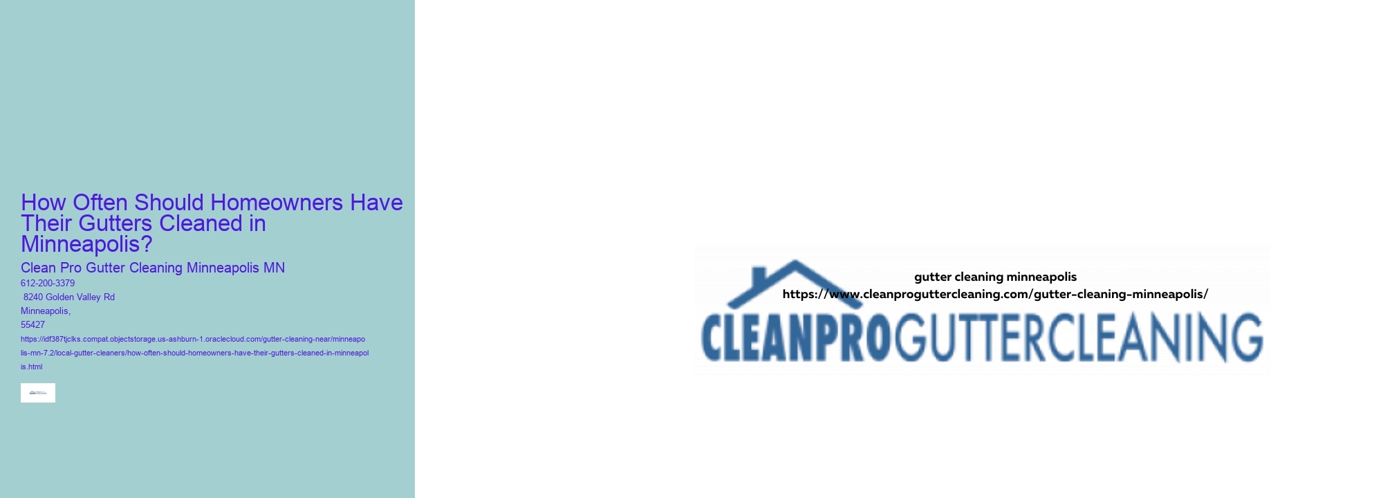 How Often Should Homeowners Have Their Gutters Cleaned in Minneapolis? 